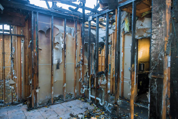Professional Soot Cleanup technician working in Ball Ground, GA